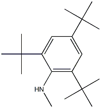 N1-methyl-2,4,6-tri(tert-butyl)aniline