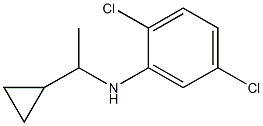 2,5-dichloro-N-(1-cyclopropylethyl)aniline