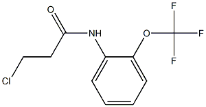 3-chloro-N-[2-(trifluoromethoxy)phenyl]propanamide