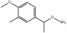 O-[1-(4-methoxy-3-methylphenyl)ethyl]hydroxylamine