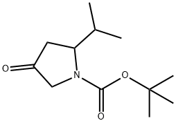 tert-butyl 4-oxo-2-(propan-2-yl)pyrrolidine-1-carboxylate Structural