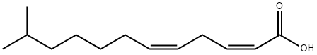 (2Z,5Z)-11-methyldodeca-2,5-dienoic acid