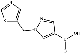 Boronic acid, B-[1-(5-thiazolylmethyl)-1H-pyrazol-4-yl]- Structural