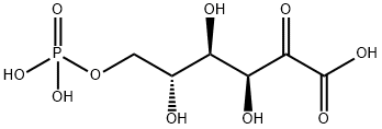 20008-10-0 structural image