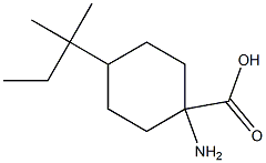 1-amino-4-(1,1-dimethylpropyl)cyclohexanecarboxylic acid