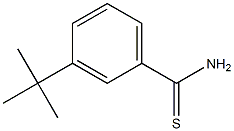 3-TERT-BUTYLTHIOBENZAMIDE