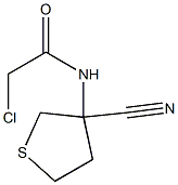 2-chloro-N-(3-cyanotetrahydrothien-3-yl)acetamide