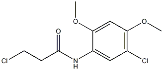 3-chloro-N-(5-chloro-2,4-dimethoxyphenyl)propanamide Structural