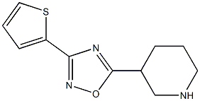 5-(piperidin-3-yl)-3-(thiophen-2-yl)-1,2,4-oxadiazole