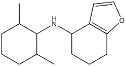 N-(2,6-dimethylcyclohexyl)-4,5,6,7-tetrahydro-1-benzofuran-4-amine Structural