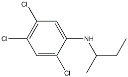 N-(butan-2-yl)-2,4,5-trichloroaniline