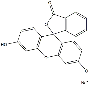 Fluorescein  Sodium  salt  -  CAPS  solution Structural