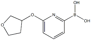 6-(TETRAHYDRO-FURAN-3-YLOXY)PYRIDINE-2-BORONIC ACID