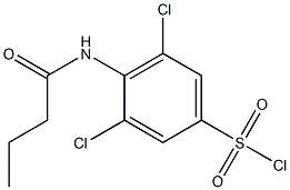 4-butanamido-3,5-dichlorobenzene-1-sulfonyl chloride