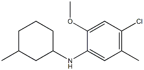 4-chloro-2-methoxy-5-methyl-N-(3-methylcyclohexyl)aniline