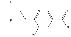 5-chloro-6-(2,2,2-trifluoroethoxy)nicotinic acid Structural