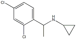 N-[1-(2,4-dichlorophenyl)ethyl]cyclopropanamine