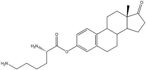 lysine estrone ester Structural