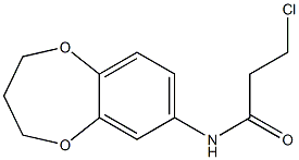 3-chloro-N-(3,4-dihydro-2H-1,5-benzodioxepin-7-yl)propanamide Structural