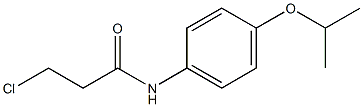 3-chloro-N-[4-(propan-2-yloxy)phenyl]propanamide Structural