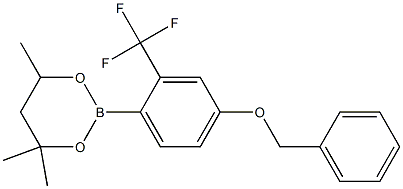 2-[4-Benzyloxy-2-(trifluoromethyl)phenyl]-4,4,6-trimethyl-1,3,2-dioxaborinane