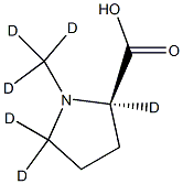 N-Methyl-d3-D-proline-2,5,5-d3 Structural