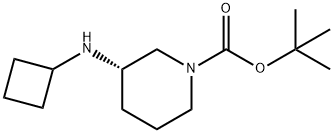 R-3-(Cyclobutylamino)-1-boc-piperidine
