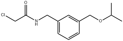 Acetamide, 2-chloro-N-[[3-[(1-methylethoxy)methyl]phenyl]methyl]- Structural