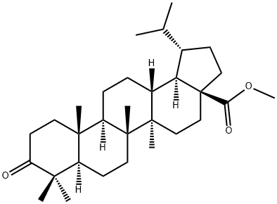 Dihydrobetulonicacidmethylester Structural