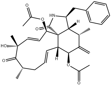 ZYGOSPORINF