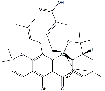 Isomorellic acid Structural