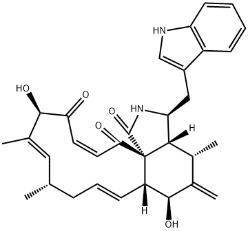 CHAETOGLOBOSIND Structural