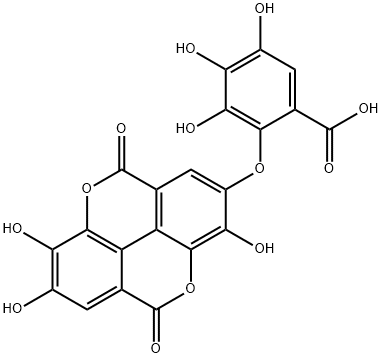 Valoneic Acid Dilactone Structural