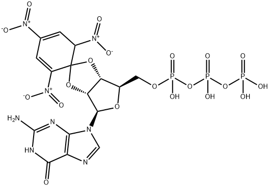 Guanosine 5'-(tetrahydrogen triphosphate), 2',3'-O-(2,4,6-trinitro-2,4-cyclohexadien-1-ylidene)-