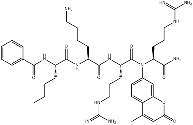 BZ-NLE-LYS-ARG-ARG-AMC Structural