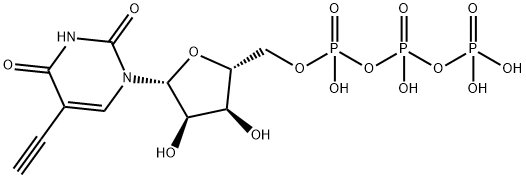Uridine 5'-(tetrahydrogen triphosphate), 5-ethynyl- Structural