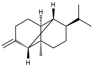 20479-06-5 structural image