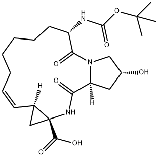 ZN2007-RM1 Structural