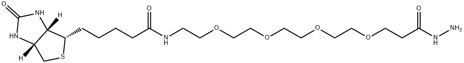 (+)-Biotin-PEG4-Hydrazide Structural