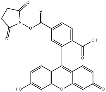 Flurescein-NHS ester Structural