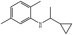 Benzenamine, N-(1-cyclopropylethyl)-2,5-dimethyl- Structural