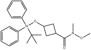 Cyclobutanecarboxamide, 3-[[(1,1-dimethylethyl)diphenylsilyl]oxy]-N-methoxy-N-methyl- Structural