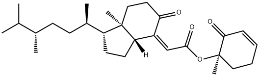 Chaxine E