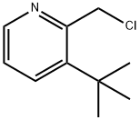 Pyridine, 2-(chloromethyl)-3-(1,1-dimethylethyl)- Structural