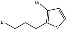 Thiophene, 3-bromo-2-(3-bromopropyl)- Structural