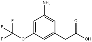 Benzeneacetic acid, 3-amino-5-(trifluoromethoxy)- Structural