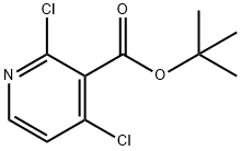 Tert-butyl 2,4-dichloronicotinate