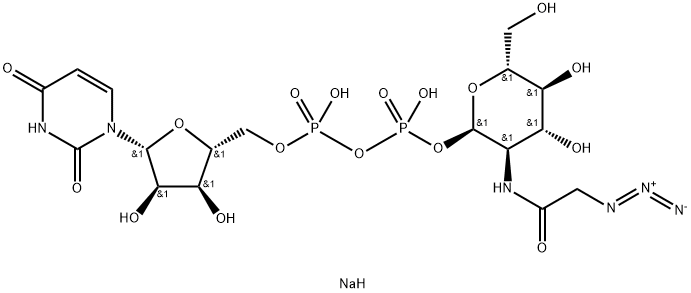 UDP-GlcNAz.2Na Structural