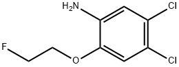 Benzenamine, 4,5-dichloro-2-(2-fluoroethoxy)- Structural