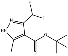 tert-Butyl 3-(difluoromethyl)-5-methyl-1H-pyrazole-4-carboxylate Structural